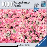 Ravensburger Kitten Challenge 1000 Piece Puzzle  B01N7KMU9C